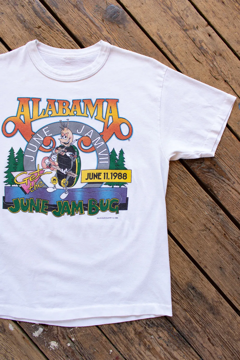 Vintage 1988 Alabama June Jammer Band Tee - Medium